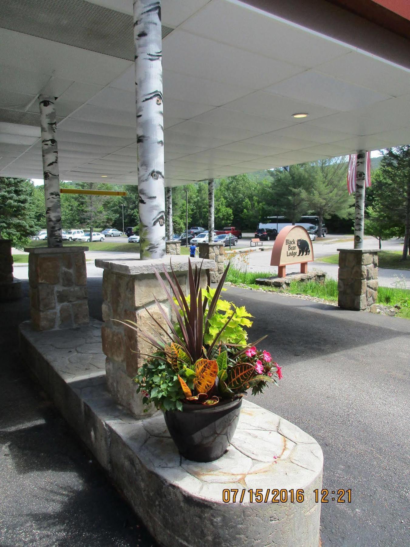 Black Bear Lodge Waterville Valley Exterior foto